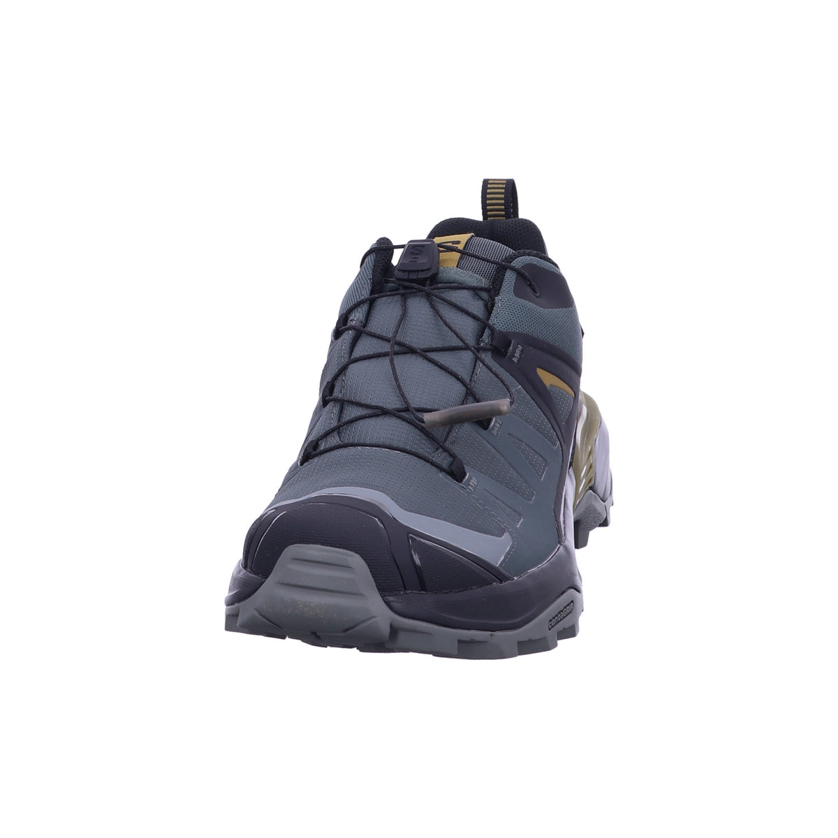 SALOMON Wanderschuh L49101700 X ULTRA 360 GTX in Grau