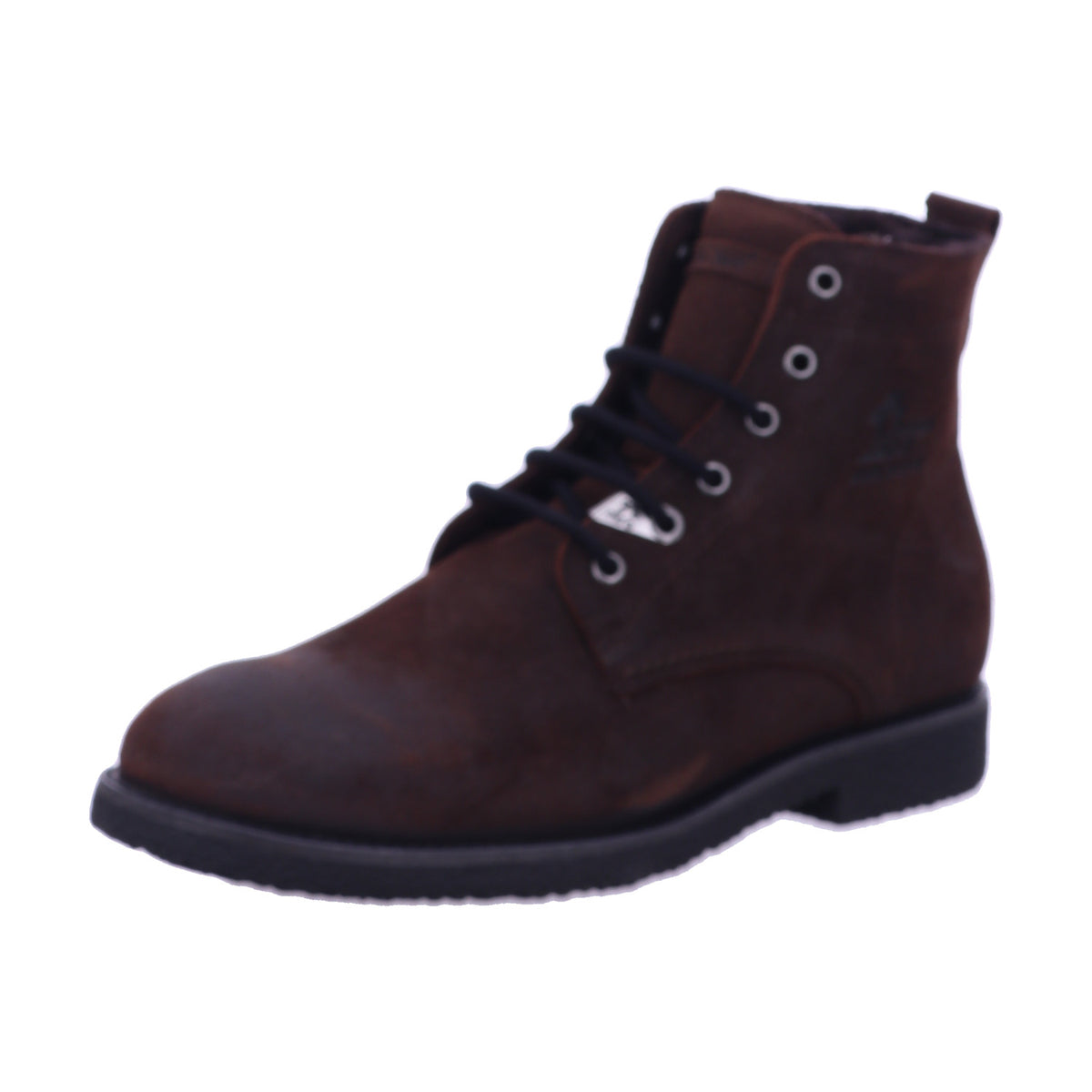 Panama Jack Winterschuh Glasgow Igloo Glasgow Igloo C32/PT181338C032 in Braun
