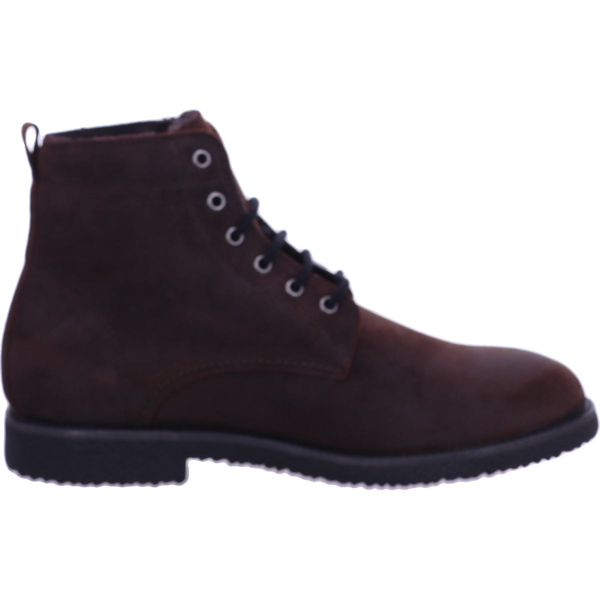 Panama Jack Winterschuh Glasgow Igloo Glasgow Igloo C32/PT181338C032 in Braun