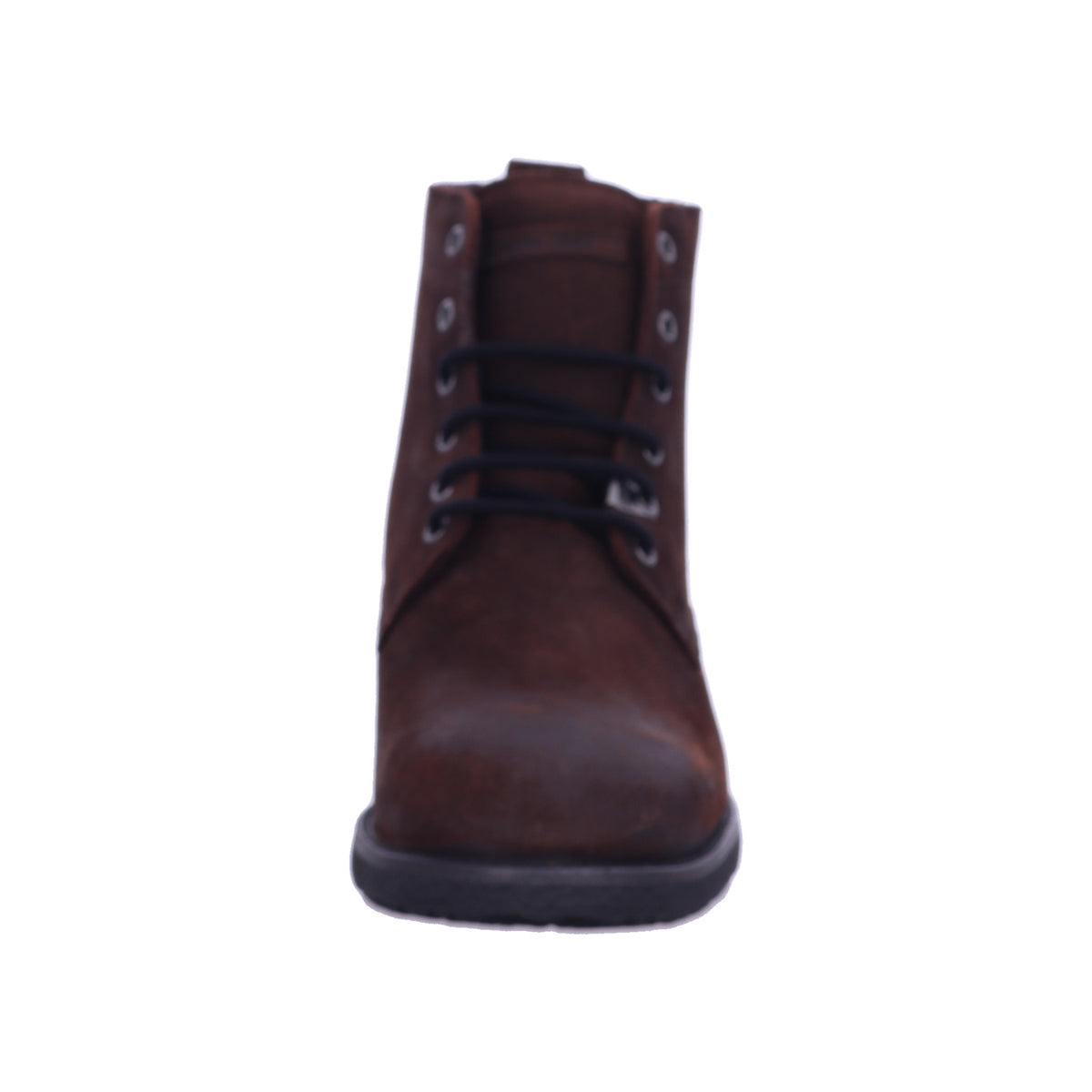 Panama Jack Winterschuh Glasgow Igloo Glasgow Igloo C32/PT181338C032 in Braun