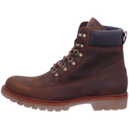 Panama Jack Winterschuh Polop Igloo Polop Igloo C2/PT104812C002 in Braun