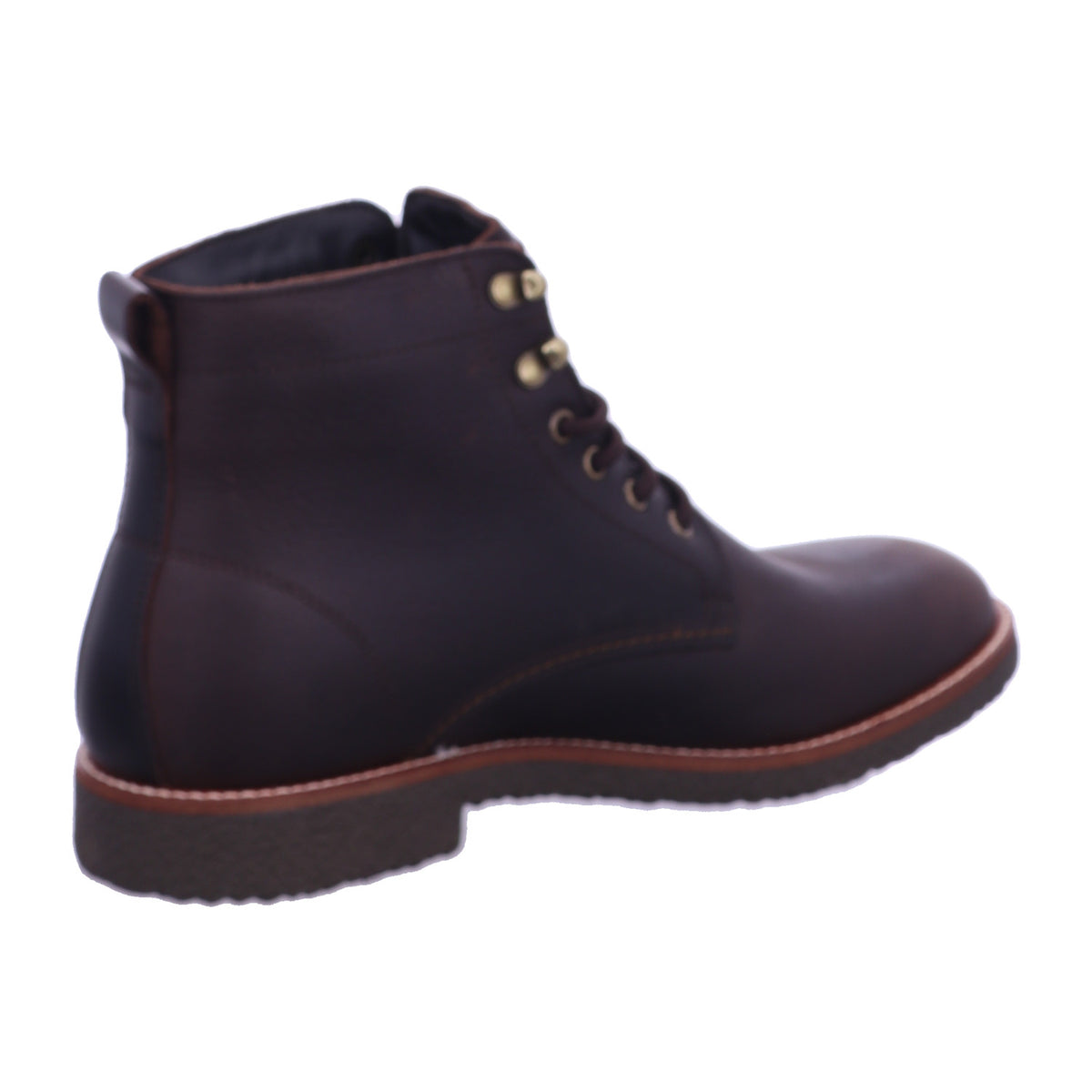 Panama Jack Winterschuh Glasgow Gtx Glasgow Gtx C2/PT181364C002 in Braun