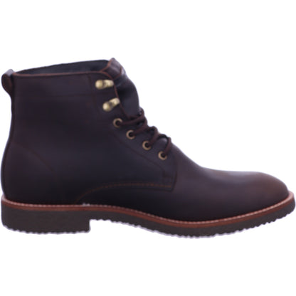 Panama Jack Winterschuh Glasgow Gtx Glasgow Gtx C2/PT181364C002 in Braun