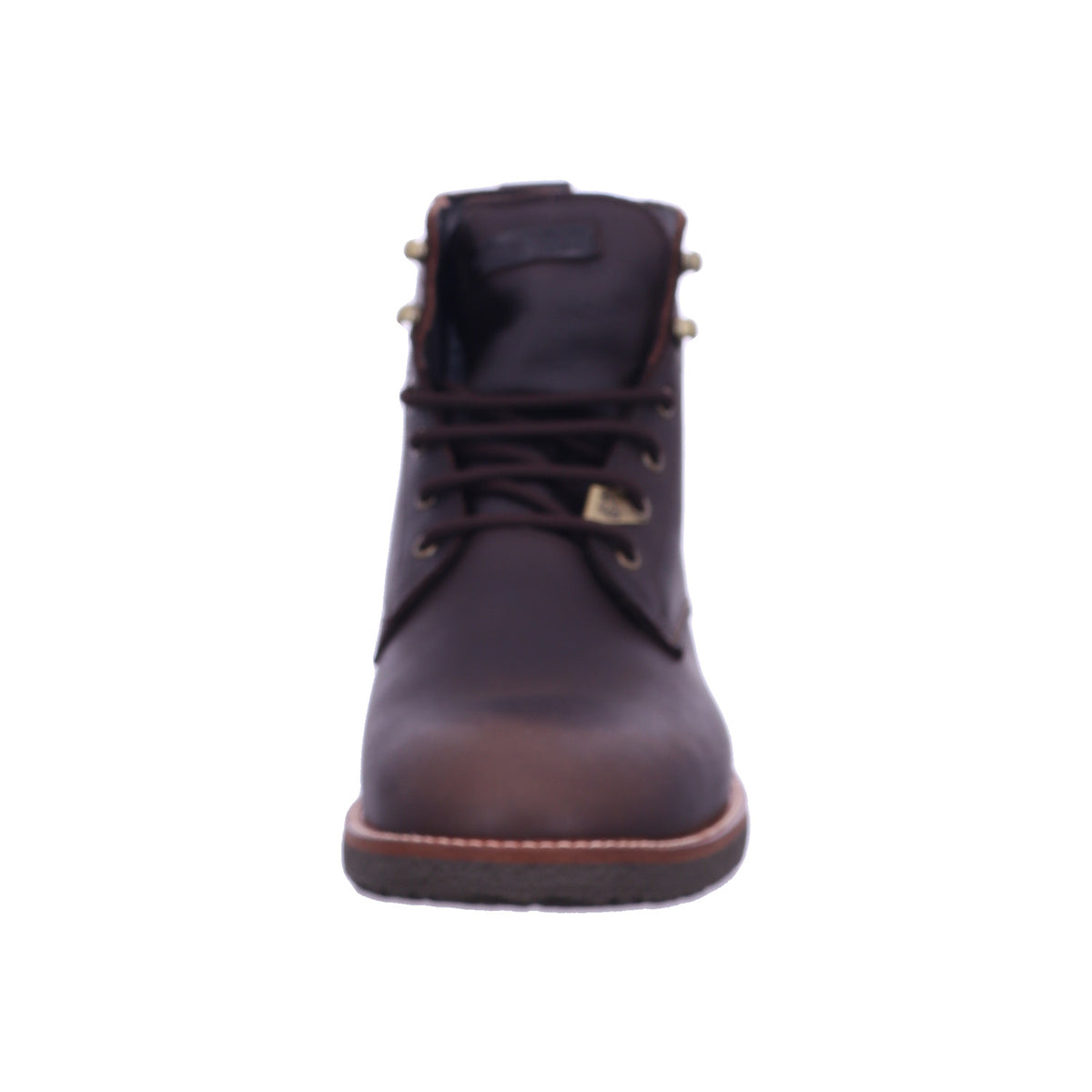 Panama Jack Winterschuh Glasgow Gtx Glasgow Gtx C2/PT181364C002 in Braun