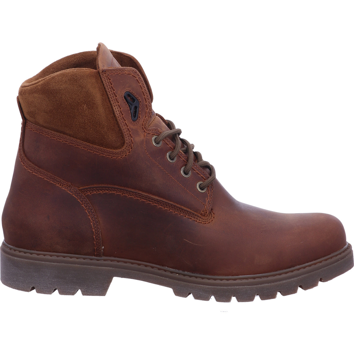 Panama Jack Winterschuh Amur Gtx C8 Amur Gtx C8/PT100028C008 in Braun