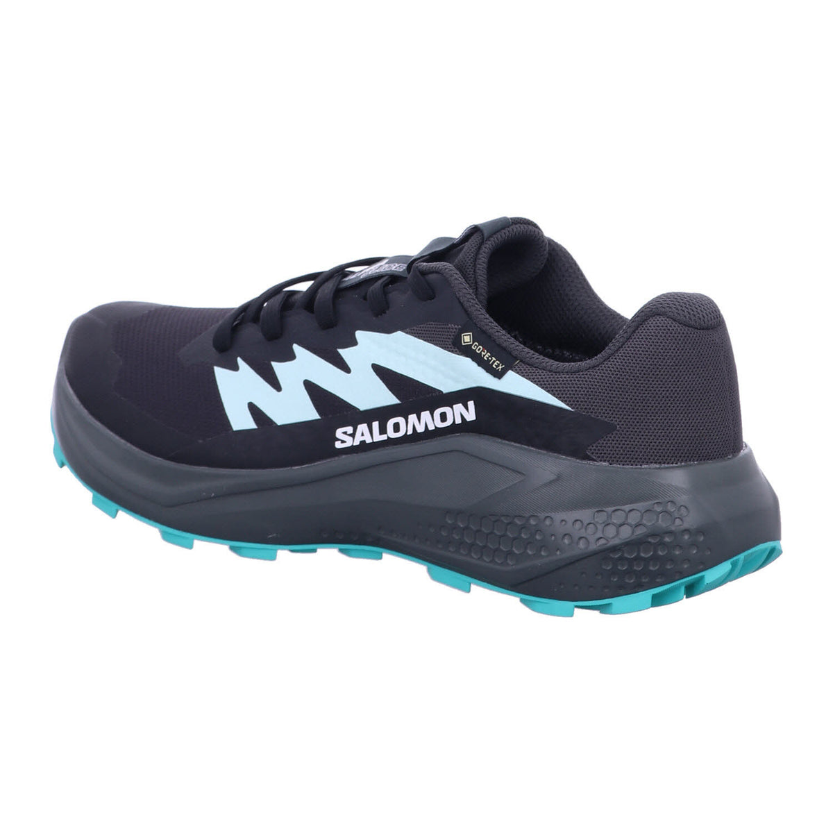 SALOMON Wanderschuh L47802400 Schuhe ALPHAGLIDE GTX W Phantm/Ubnc in Grau