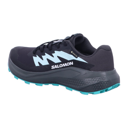SALOMON Wanderschuh L47802400 Schuhe ALPHAGLIDE GTX W Phantm/Ubnc in Grau