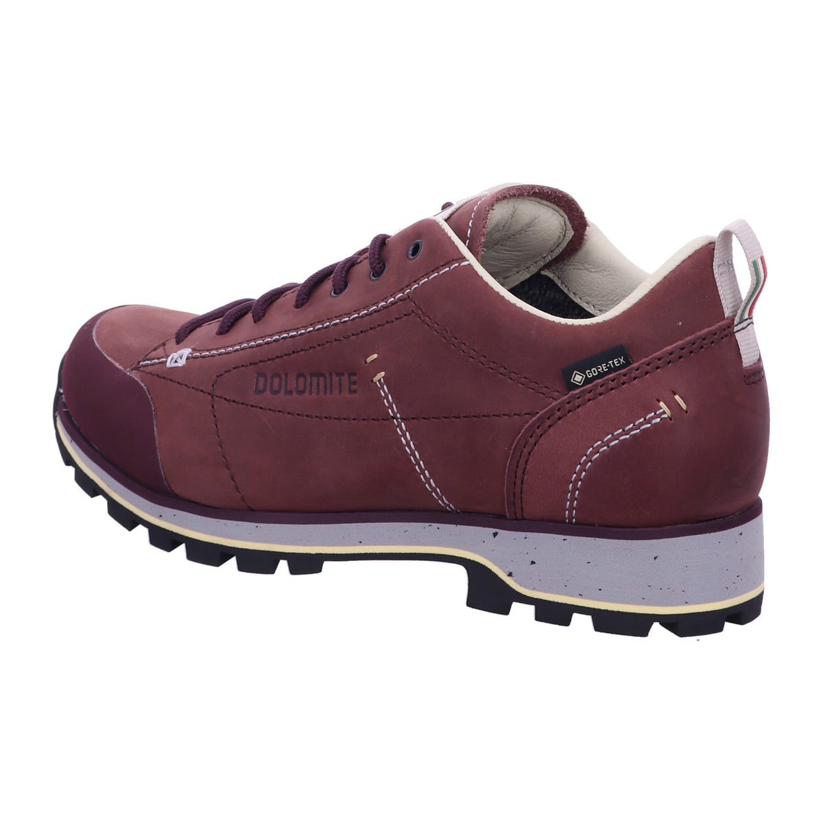 Dolomite Wanderschuh 292534 DOL Shoe Ws 54 Low Fg Evo GTX in Braun