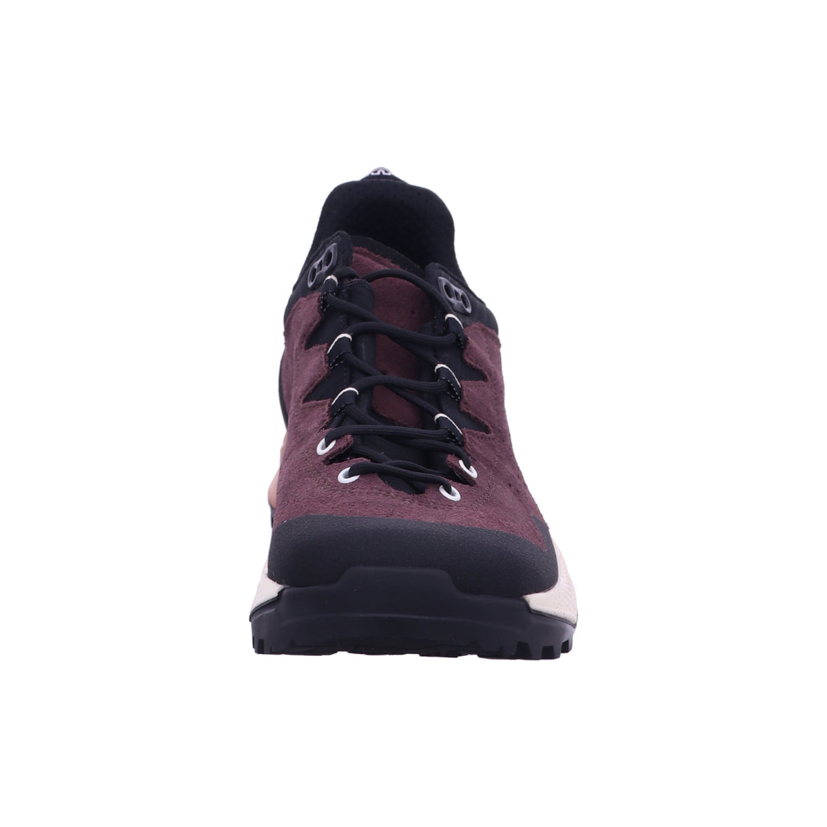 Lowa Wanderschuh 221190 LOWA® EXPLORER GTX LO Ws in Braun