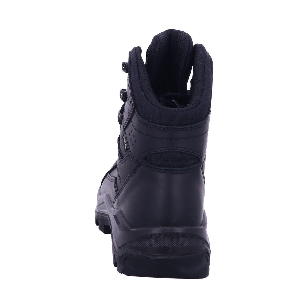 Lowa Wanderschuh 310921 RENEGADE II GTX MID TF MF in Schwarz