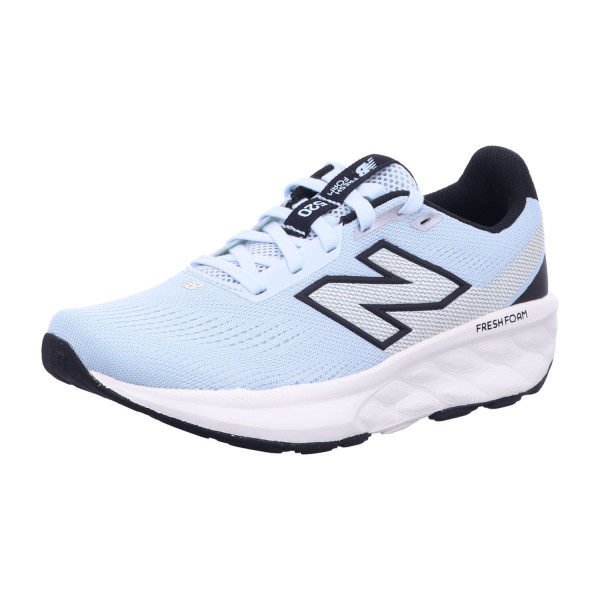 New Balance W520CF9/FRO W520V9 FROSTED GLASS - Bild 1