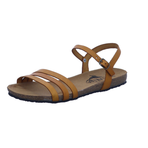 Plakton 575080-699 VAINILLA - Bild 1