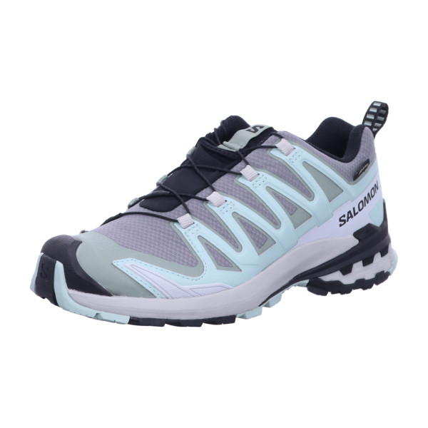 SALOMON L47823100 XA PRO 3D V9 GTX W Quiet Shade/Lily Pad - Bild 1