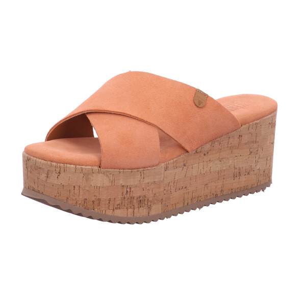 Verbenas 910064-0001-0054 Zaida Zahara rot - Bild 1