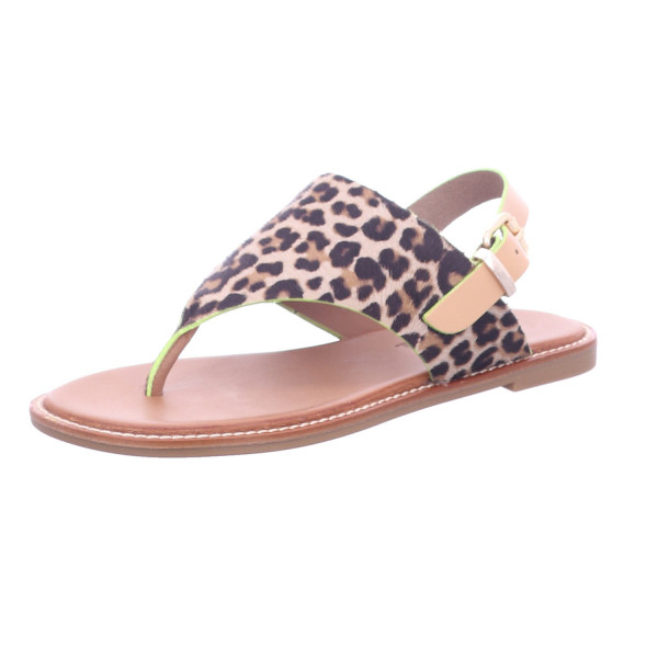 Sigotto S10135-LEO Leo Camel Neon Yello - Bild 1