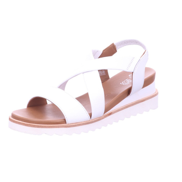 ARA 12-26704-04 LIMONE WEISS - Bild 1