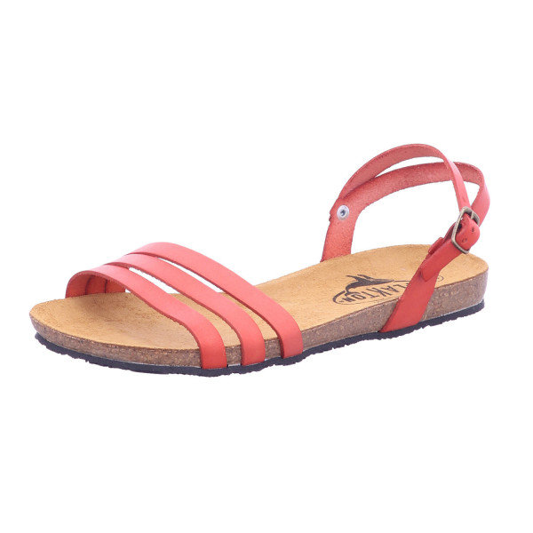 Plakton 575080-3851 ROOSSE - Bild 1