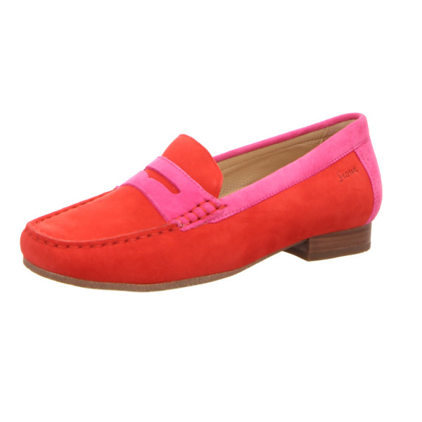 ARA 12-27702-12 NEWPORT MERLOT - Bild 1