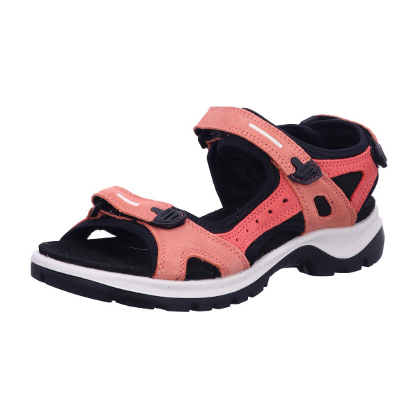 Ecco 069563/61539 Womens BURNT COAL/SPICED CO - Bild 1